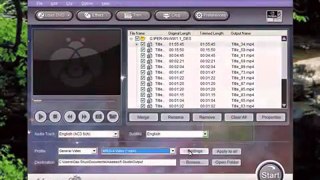 How to Rip DVD Fast with Aiseesoft DVD Ripper?