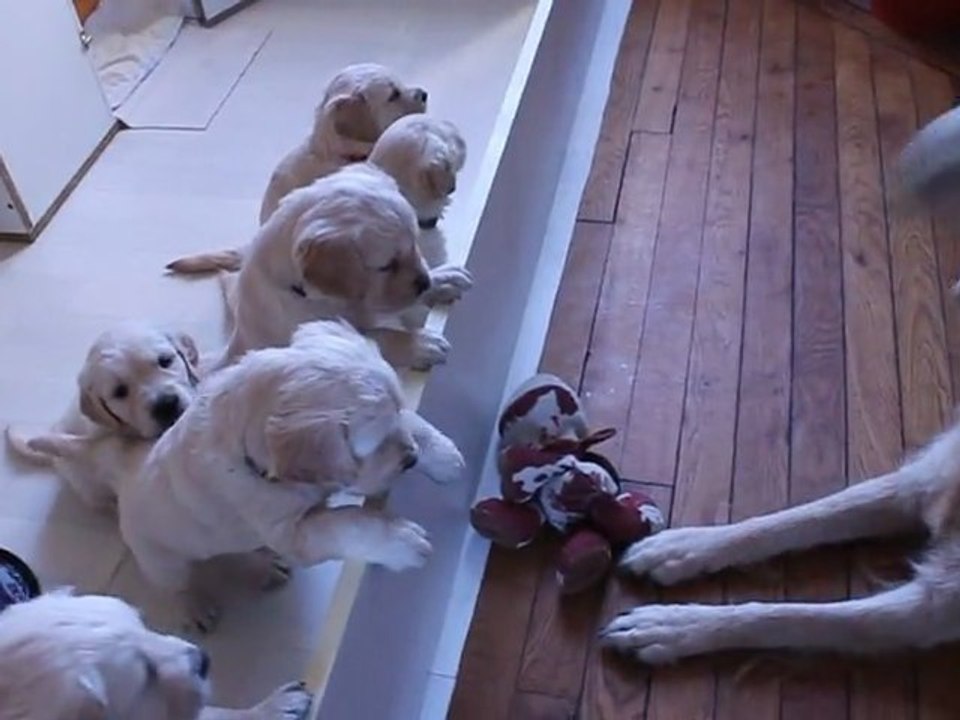 Maman joue les petits regardent