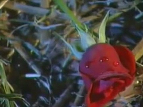 Azer Bülbül - Kurşun Yedim