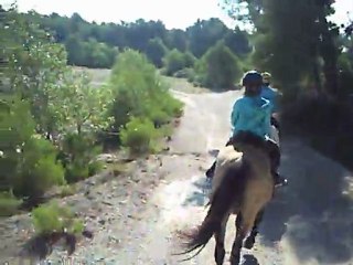 sixtine cheval alpilles2