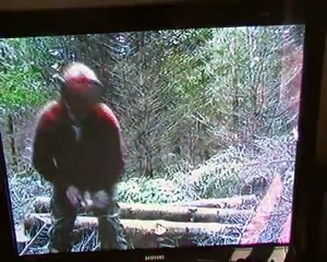 hommes des bois