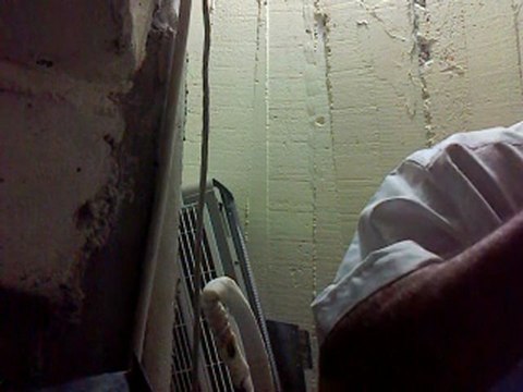 İsmail Biçer Gibi Okuyan Hafız İsmail Yıldırım Hoca Sabah Ezanı ve Elveda Ramazan