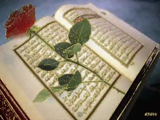 BİR GARİPSİN ŞU DÜNYADA.GÜLME GÜLME AĞLA GÖNÜL...!!!