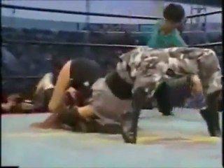 Queen of Hardcore-Megumi Kudo MV