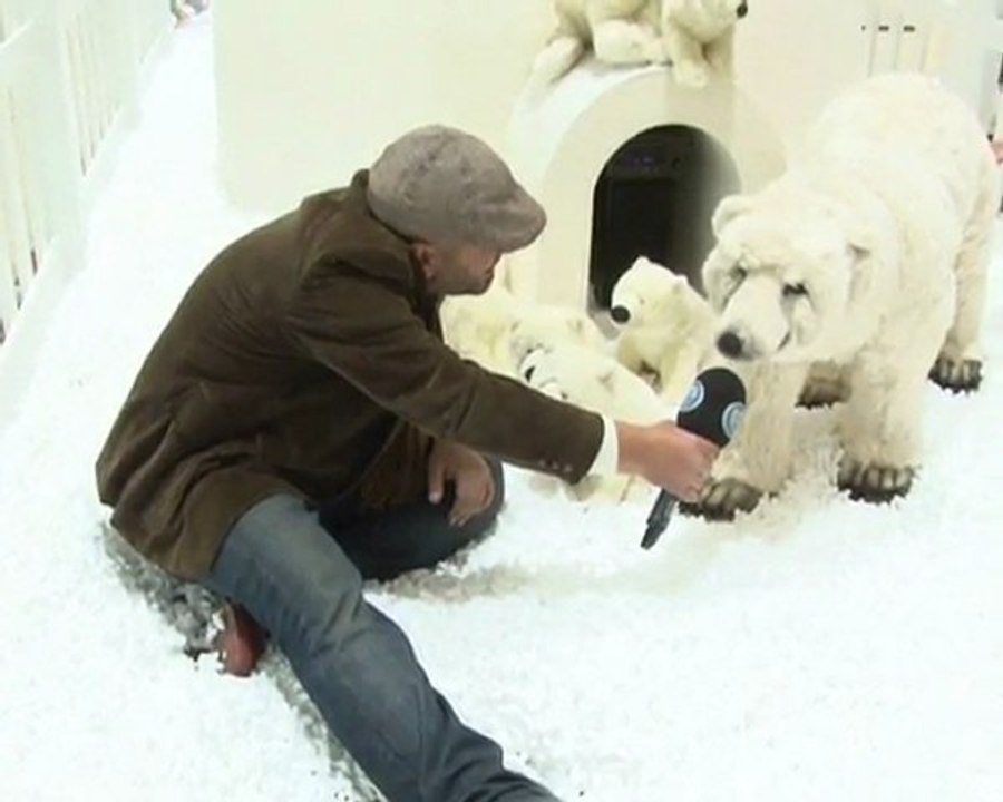 ilkay Mustafa Güneş sokak roportajları (kutup ayıları)