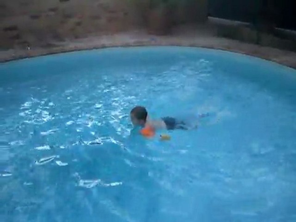 pisc1