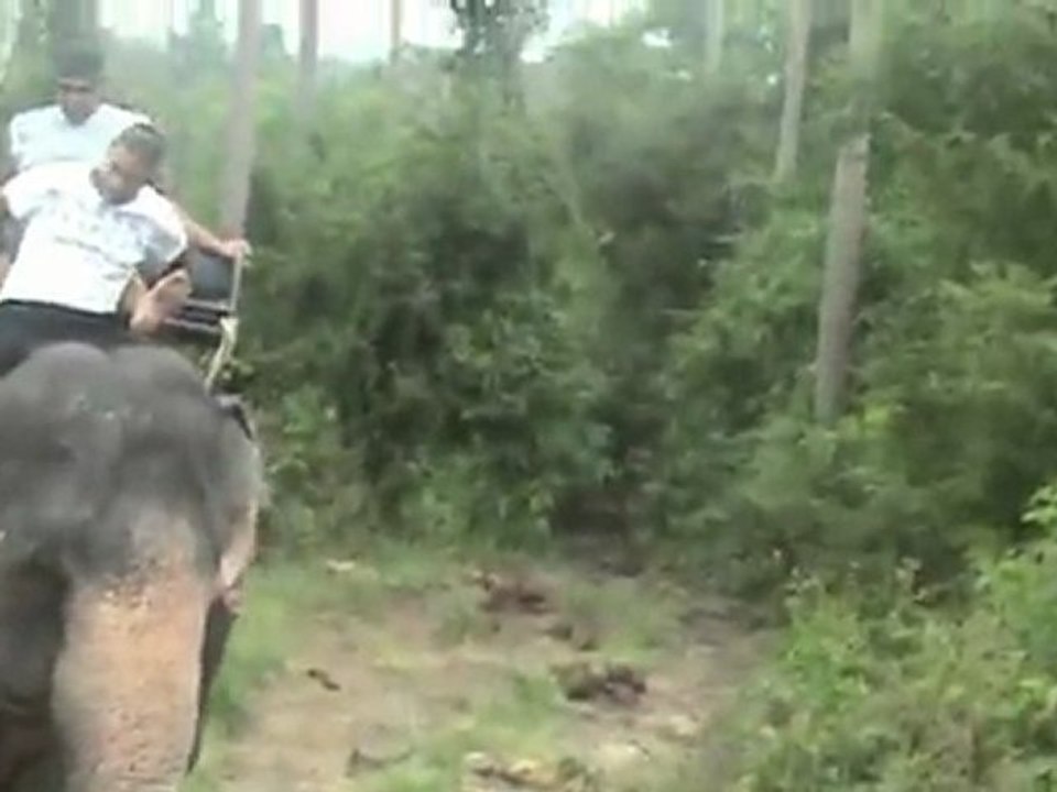 VIDEO FENECHE MOMO NERRESSE THAILANDE 2012  ( partie 5 )