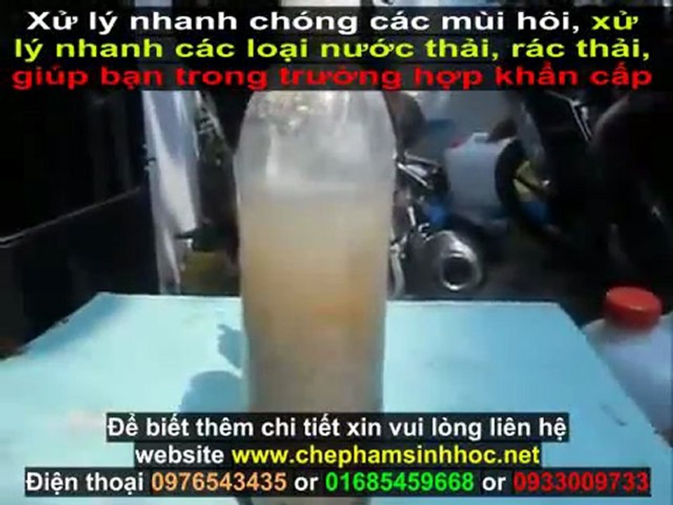 xử lý nước thải nuôi trồng thủy sản - xử lý nước thải chăn nuôi - xử lý mùi hôi nước thải - hiệu quả, nhanh chóng