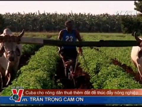 THỜI SỰ 12H 09.01.2012 CLIP 2/2, TTXVN, VNEWS, VNA, TRUYỀN HÌNH THÔNG TẤN, TTXVN