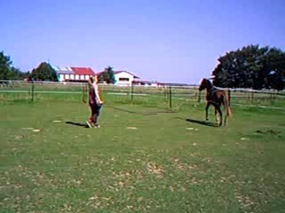 CLIP0004