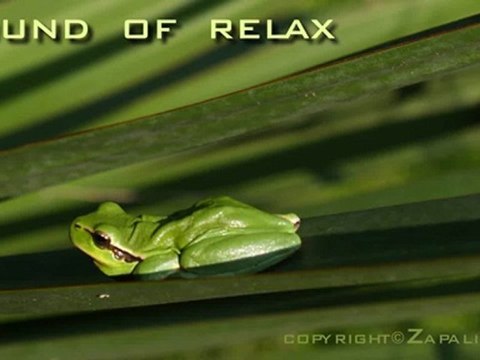 Musique de relaxation-original Sound track-Meditation and Sleep Music-Bien dormir-Orage pluie