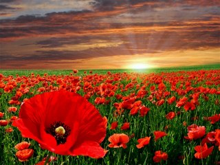 couche-de-soleil-2-jacques