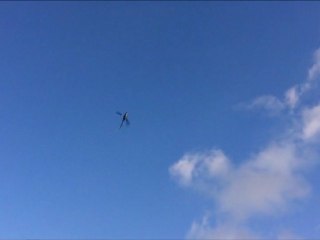 Guiwood trex 450 13012012