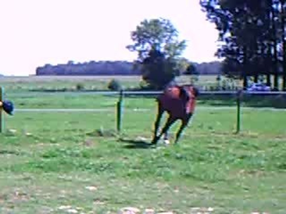 CLIP0006