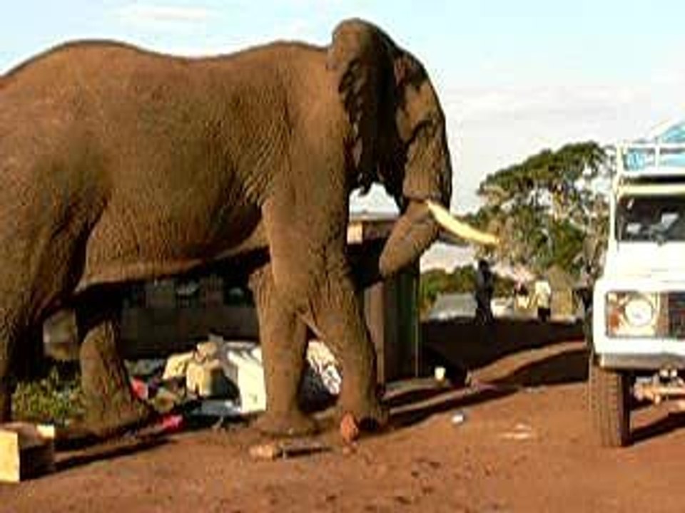 tanzanie-ngorongoro-elephant-camp
