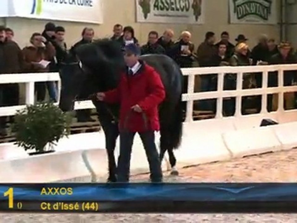 Axxos