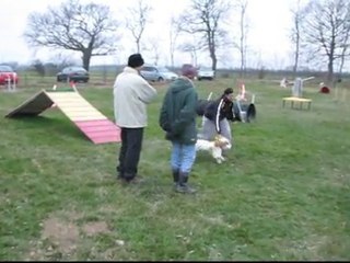 petit parcours d'agility