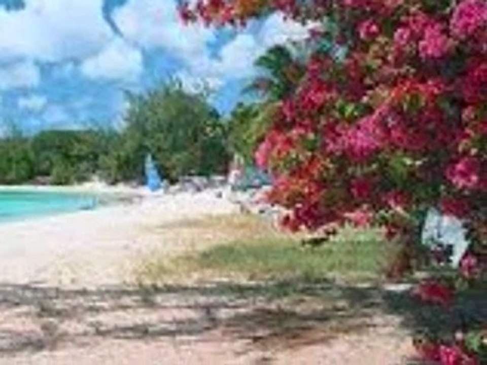 Barbados Hotel and Hostel Reservation