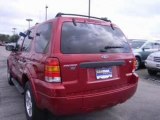 2007 Ford Escape for sale in Houston Te - Used Ford by EveryCarListed.com