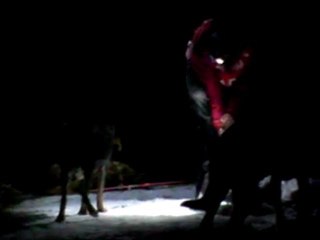 La Grande Odyssée Savoie Mont Blanc 2012 Radek Havrda