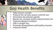 Goji, information/Facts/Research/Health Benefits And How To Benefit/Get More Energy/Gain Vitality From Rejuveniix