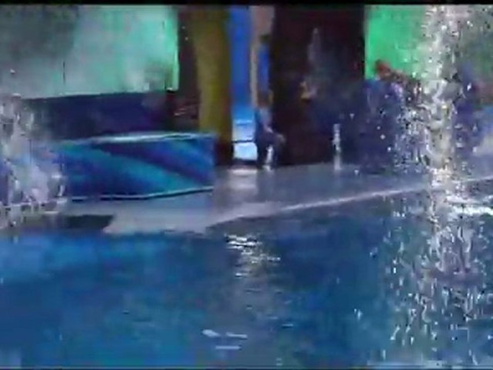 Shamu Sea World