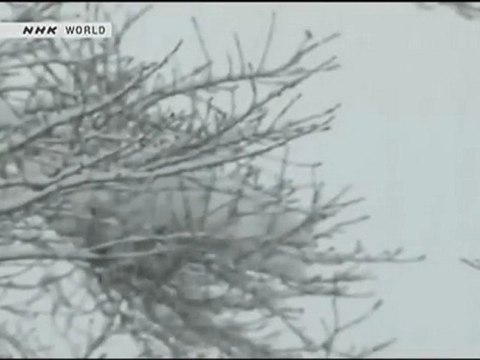 Japan Snow　雪　１ TV BEGIN Japanology ≪English≫〔Japanese culture〕