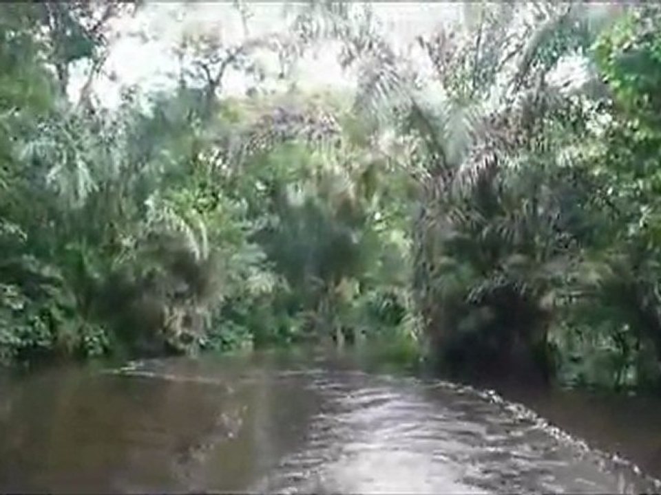 TORTUGUERO NET
