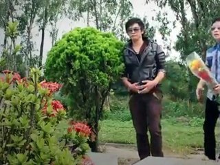 [ MV ] Về Với Anh Đi Người Ơi - Lưu Bảo
