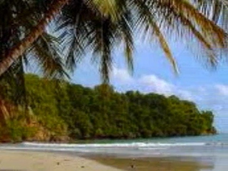 Grenada Hotel Booking by www.HotelWorld.co