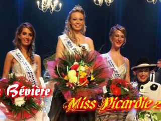 Miss PICARDIE Rétro 2011
