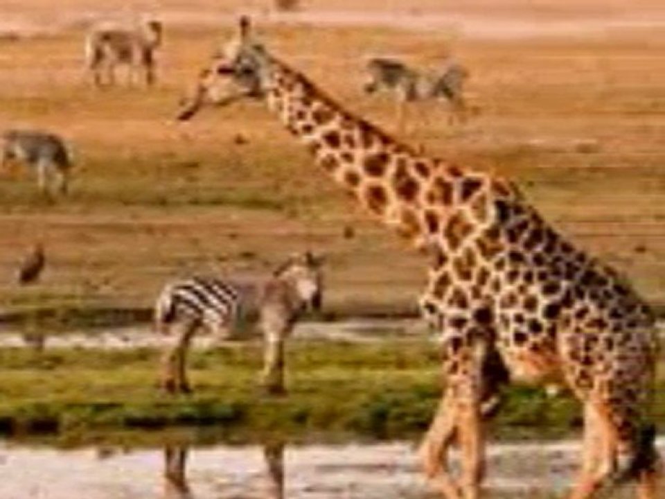 Botswana Hotel reservation