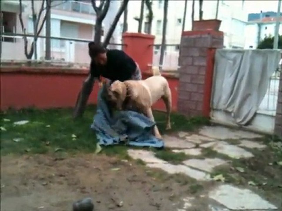 efe 10 aylık