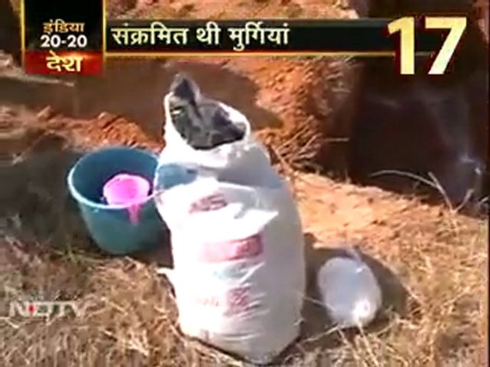 30 हजार संक्रमित मुर्गियां मारी गईं