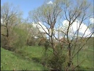 Bu gece ay çok parlak