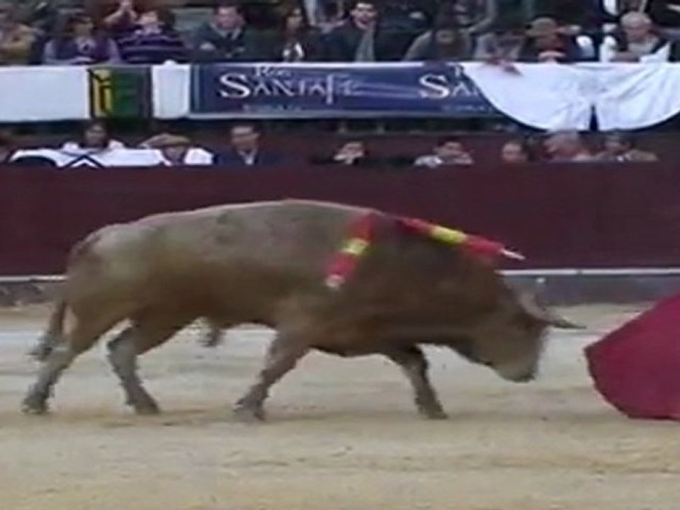 La temporada taurina de Bogotá comienza con novilleros pero sin novillos