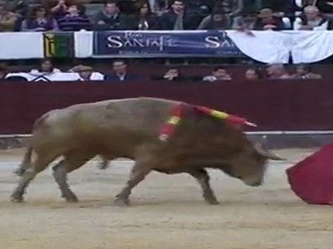 La temporada taurina de Bogotá comienza con novilleros pero sin novillos