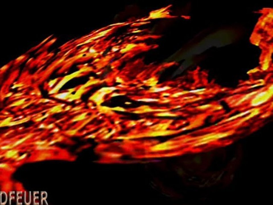 mondfeuer von Inge Agnes Preuschoff-Perrier