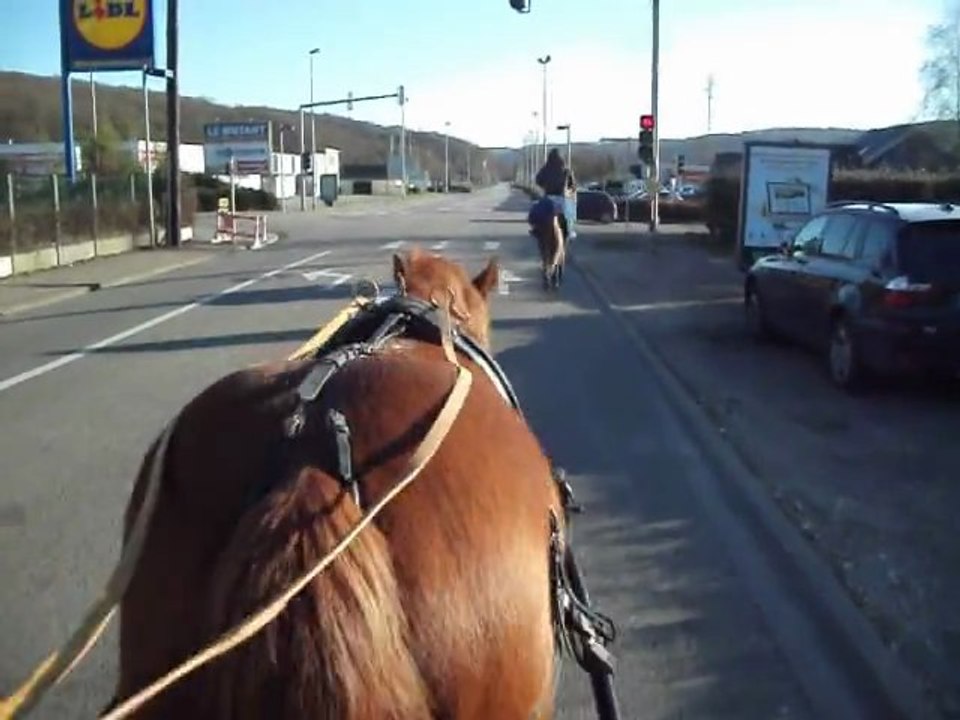balade attelage à gruchet 1