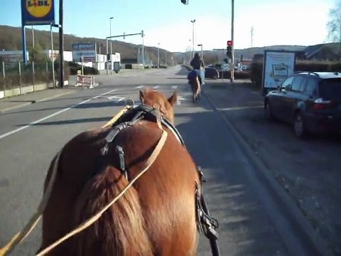 balade attelage à gruchet 1
