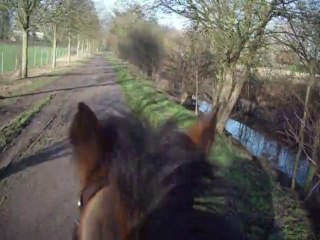 Première balade avec Goéland - janvier 2012