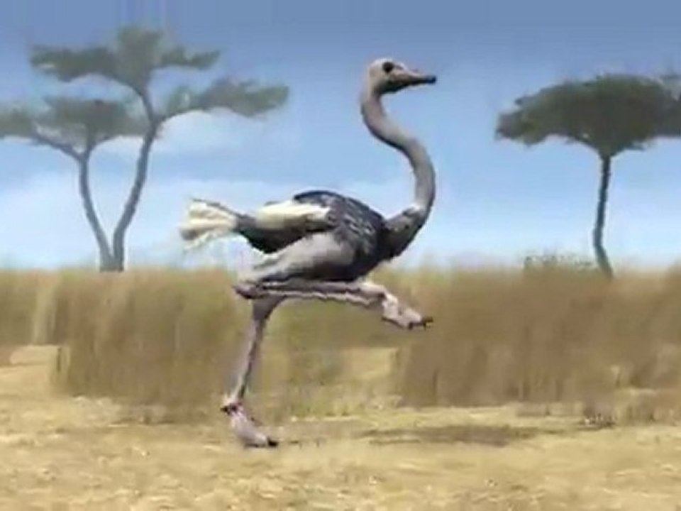 3d Animation Studio - Animal Science