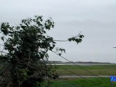 Aéroport de Nantes (LFRS-NTE)