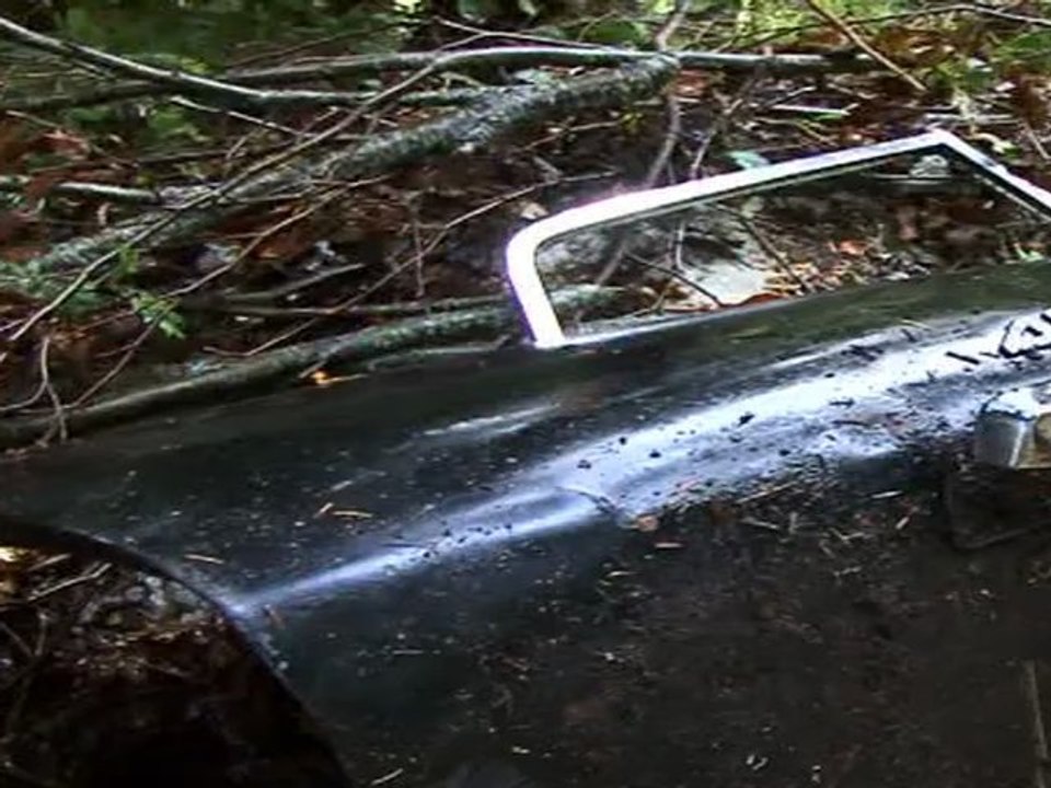 Opération Chartreuse Propre