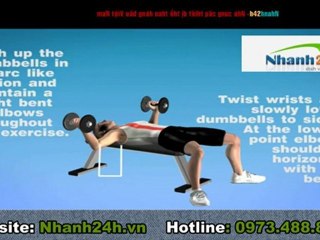 Tập thể dục, tập thể hình - Bài tập tạ 2 - Nhanh24h.vn