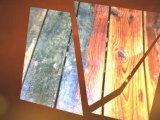 deck, patios and fences by Maverick Painting