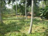 Buy Trivandrum Properties : Land for Sale at Kalliyoor Vellayani, Trivandrum