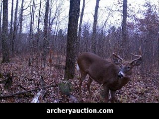 Archery Gear - Game Cam Up for Sale