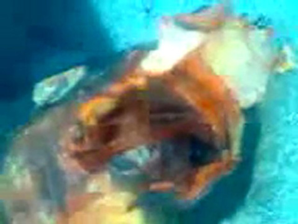 فري برس   احدى الجثث في ديربعلبة شارع الستين مكسور الرأس +18 4 12 2011