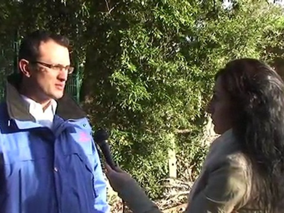 Lutter contre la disparition des abeilles